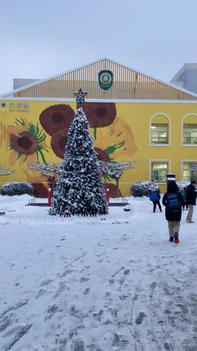 雪中的初中校园
