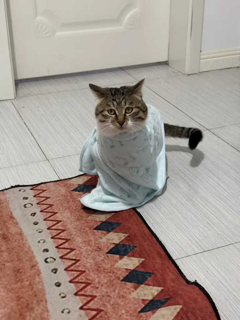 衣服